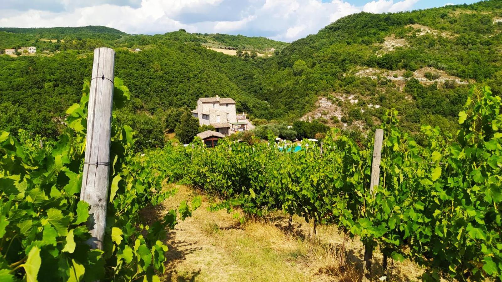Re Artu Assisi Country Lifestyle Aparthotel Bagian luar foto